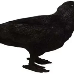 Best deal ⭐ Game of Thrones 3 Eyed Raven Plush 🔥