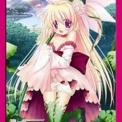 Hot Sale 😍 Cardfight Vanguard Trading Card Game Maiden of the Rainbow Card Sleeves [JAPANESE] 🎁